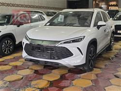 بي واي دي سونغ L DM-i